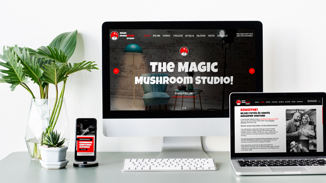Elkészült a MagicMushroomStudio.hu!