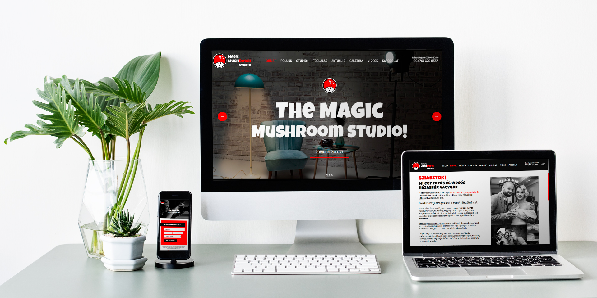 The Magic MushRoom Studio